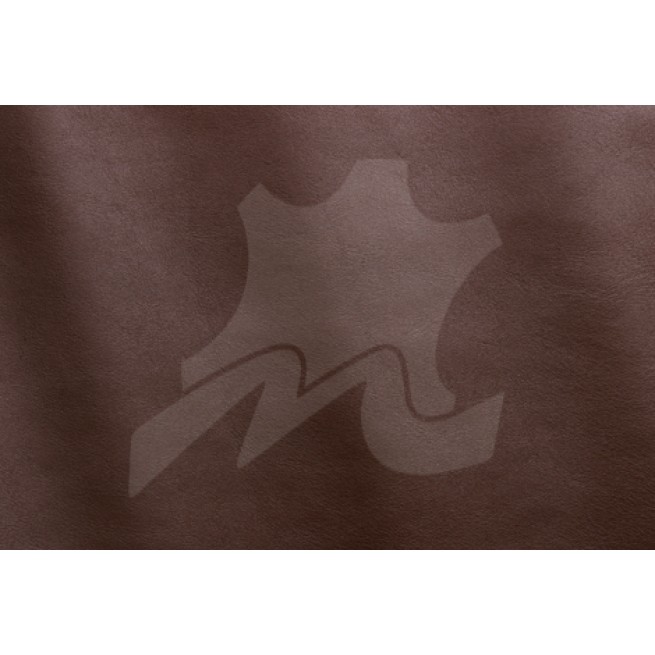 Aligo Group фото